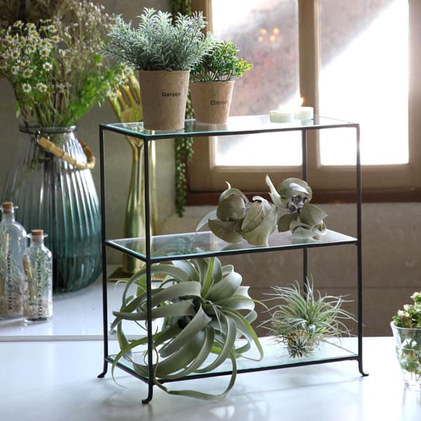 園芸ネット本店｜ジョセフアイアン 3段ガラスディスプレイ台 ワイド