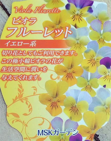 園芸ネット本店｜MSKガーデン極小輪ビオラ：フルーレット イエロー系4