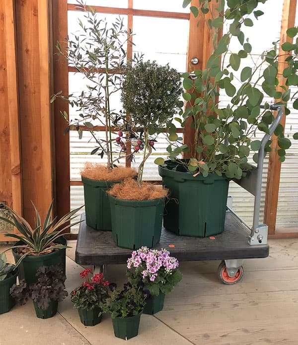 園芸ネット本店｜マジックスクエアスタンドと鉢のセット：MSS-10（10号