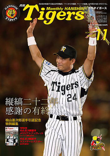 BBM 2013 阪神タイガース 桧山進次郎 パッチカード /50 BBM 2013 阪神