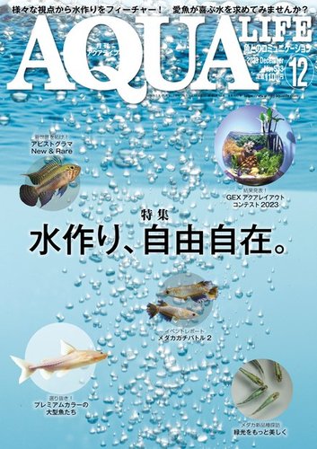 アクアライフ 12月号 (発売日2023年11月10日) | 雑誌/電子書籍/定期