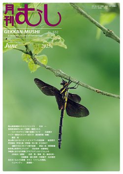 月刊むし 652 (発売日2025年05月26日) | 雑誌/定期購読の予約はFujisan