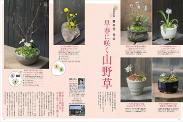 園芸ガイドの最新号【2026年1月号 (発売日2025年12月08日)】| 雑誌