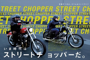 Sportster Custom Book（スポーツスター・カスタムブック） Vol.19