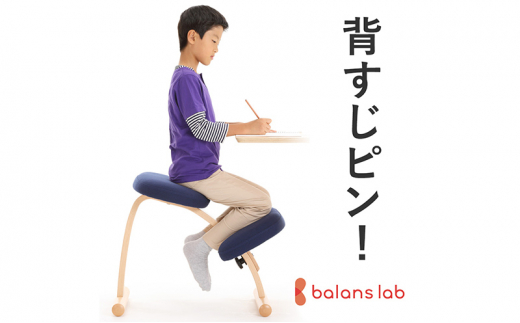 №5308-0231]バランスイージー カバー付き 選べる カラー 姿勢強制イス