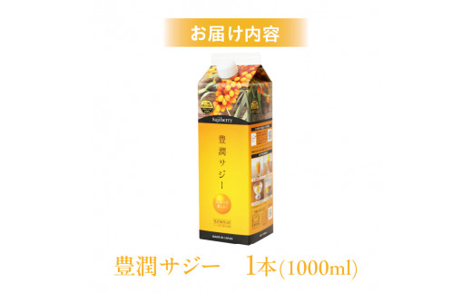 豊潤サジー 1000ml サジージュース【紙パックタイプ】_M327-001 / 宮崎
