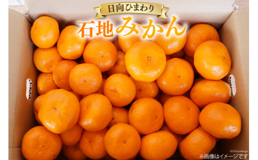 期間限定発送】 みかん 2L サイズ以上 石地みかん 5kg [ひまわり農園