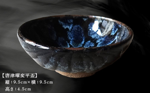 唐津焼 唐津曜変平盃 さかずき 平盃 曜変 曜変天目 酒器 日本酒 ギフト