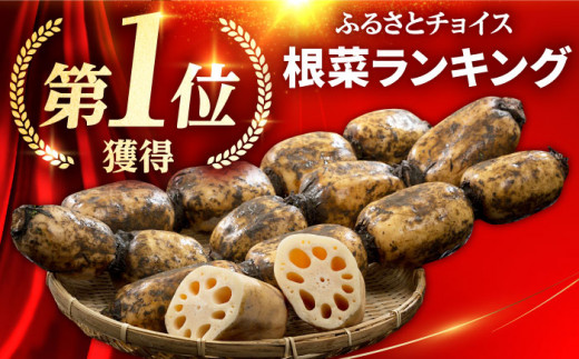 2026年1月以降発送】白石町産 泥付きれんこん （4kg） 【佐賀県農業