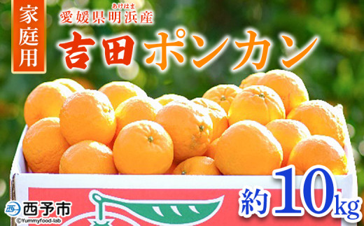 愛媛県明浜産 吉田ポンカン 家庭用 約5kg＞ 果物 くだもの フルーツ