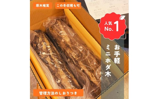 原木しいたけ栽培セット・ホダ木4本入り ※離島への配送不可 | しいたけ