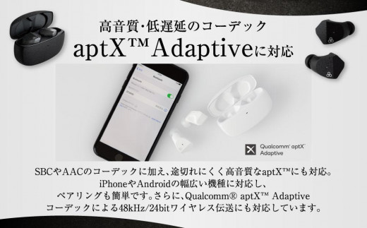 2278】【BLACK】final ZE3000 完全ワイヤレスイヤホン - 神奈川県川崎