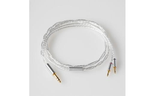 AFDS平面磁界型ヘッドホン final D8000 Pro Edition SILVER - 神奈川県