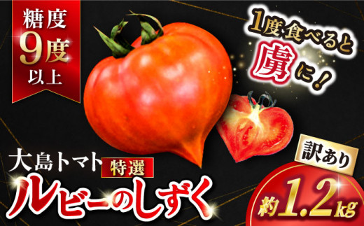 トマト 高糖度 【2026年収穫分先行予約】【 訳あり 】大島 トマト