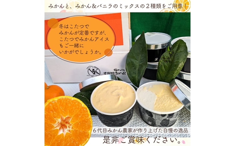 ZY6123_果樹園紀の国の 味皇みかんアイス 4個入り - 和歌山県湯浅町