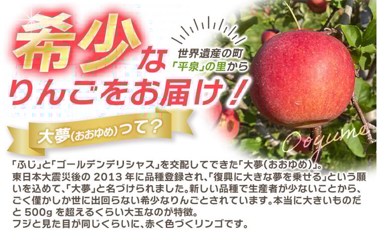 11月上旬頃より順次発送】大文字りんご園 大夢（おおゆめ） 約3kg (7