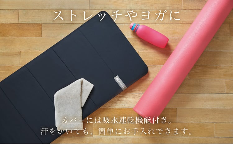 エアウィーヴ ポータブルmini キャリングケース付き | エアウィーヴ