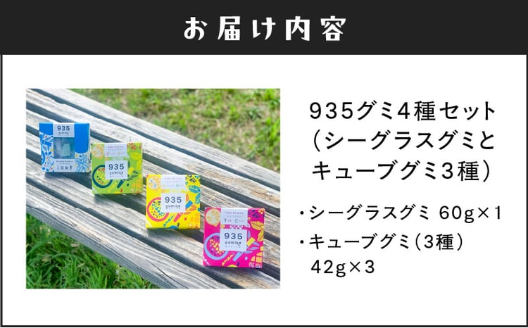 935グミ4種セット（シーグラスグミとキューブグミ3種） A021-041