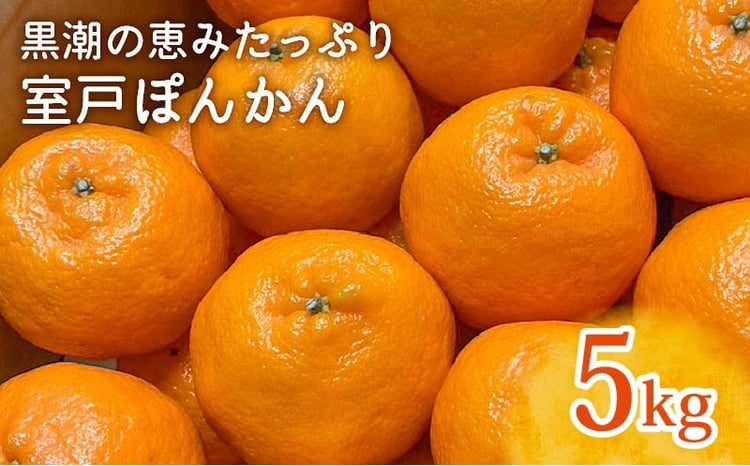 先行予約受付中】ぽんかん 5kg ｜ 優品 室戸 ポンカン LLサイズ｜高知
