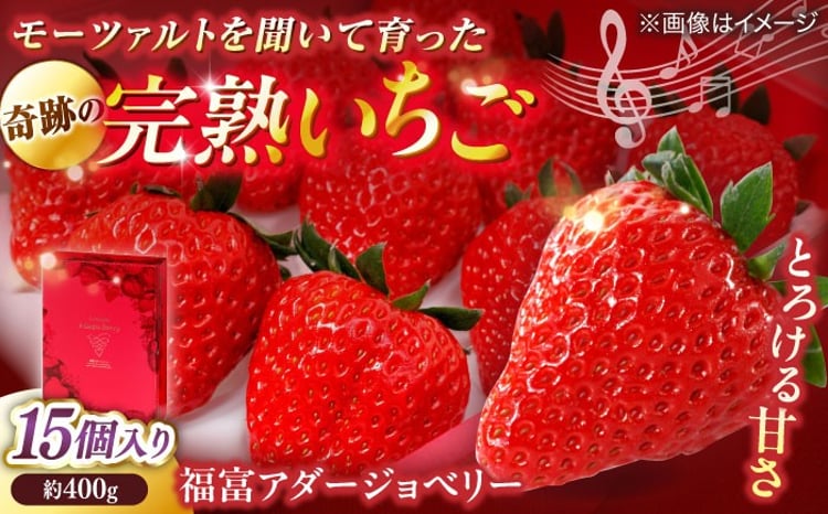 苺【数量限定100セット】島根県松江市「のつ農園」 完熟いちご「福富