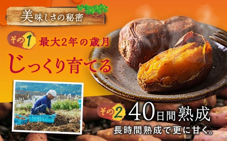 高糖度焼き芋 ごと芋300g×6袋[PBY003] 冷凍焼芋 やきいも いも