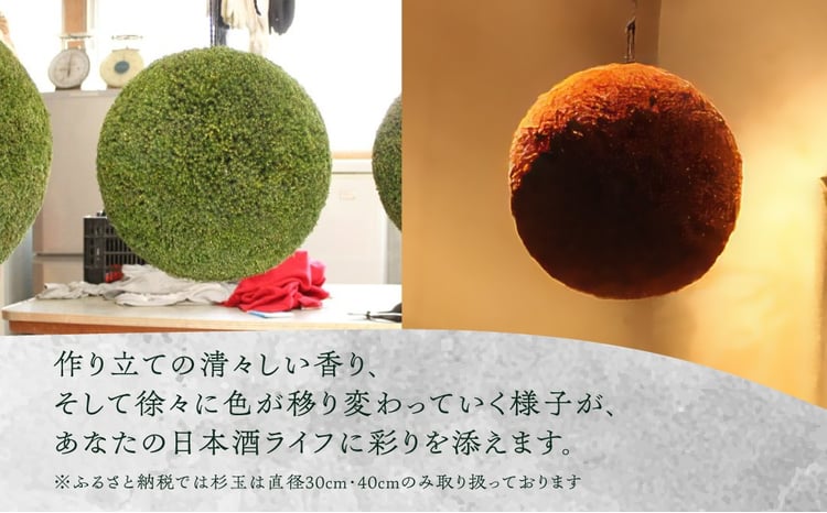 日本酒ライフに彩りを！杉玉直径30cm。自宅やお店のインテリアに