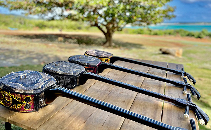 伝統工芸士「新垣清昻」作】匠の手が生み出した最高級黒檀・本皮三線