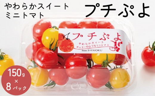 ミニトマト カラフル 1.2kg ( 150g×8パック ) プチぷよ スイートミニ