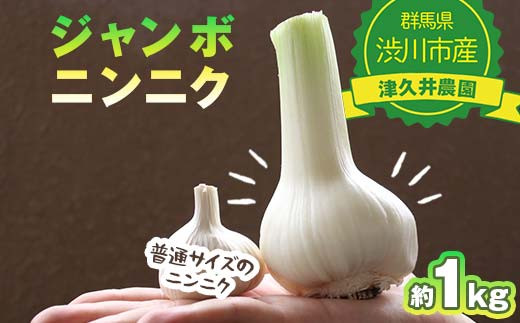 sd1_145d6a2bb45fd98651e332c5ed