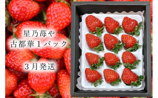 先行予約 特選大粒いちご 奈良県のいちご古都華1パック 2026年1月発送