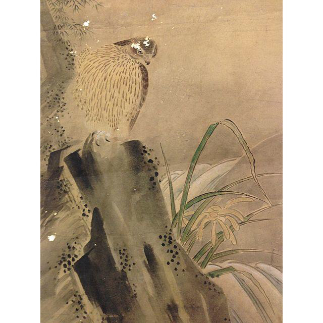 曾我蕭白(曽我蕭白) 鷹と蘭の図 裏打ち済 日本画の通販 by hidechan's