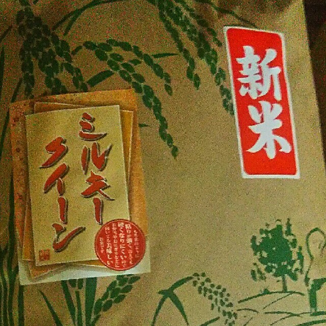 西脇一弘×noji+限定ポスター2023