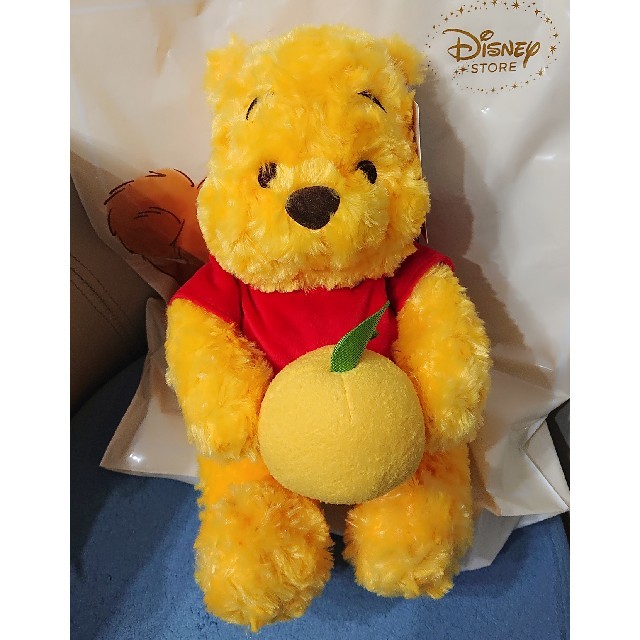 Disney - ゆず プーさん ぬいぐるみ(M) Yuzu Pooh 柚子 くまのプーさん