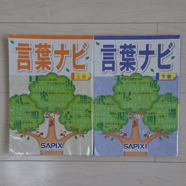 サピックス 言葉ナビ 上下巻の通販 by shibak's shop｜ラクマ