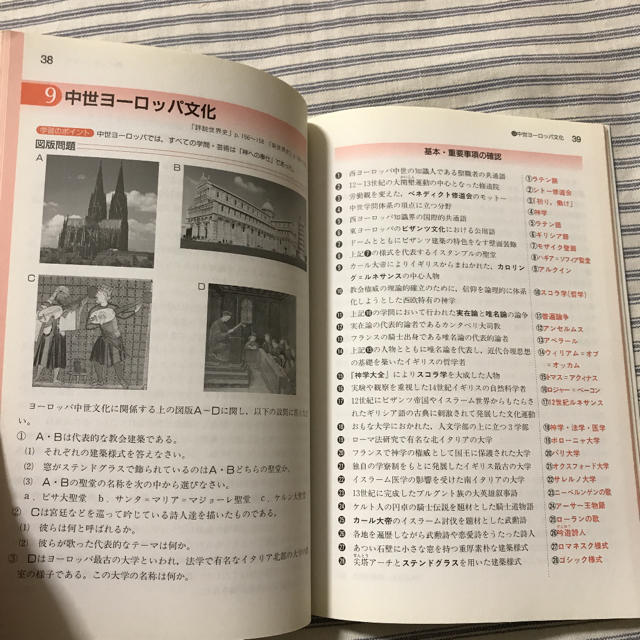 未使用 分野別 世界史 問題集 5 文化史 山川出版社の通販 by Risa's