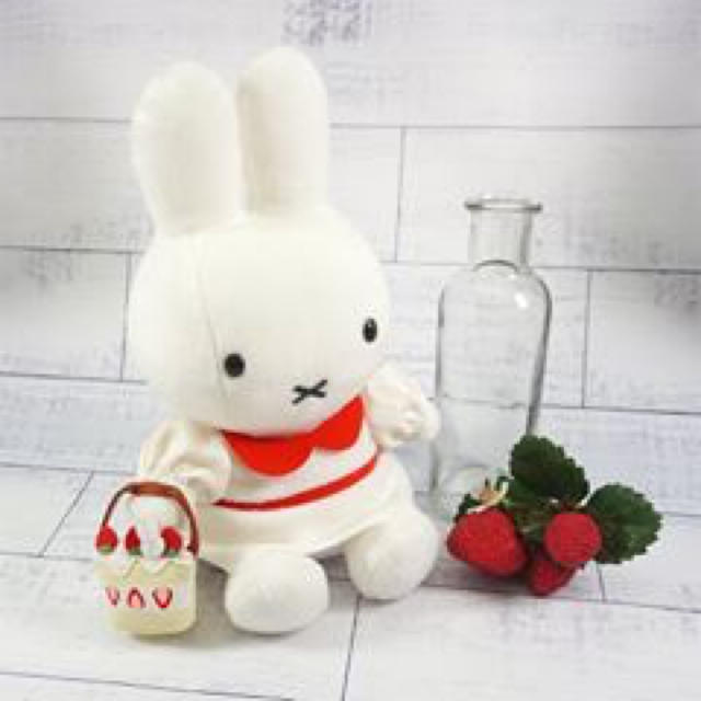 1点価格 ミッフィー ぬいぐるみ ミッフィースタイル 限定 レインコート