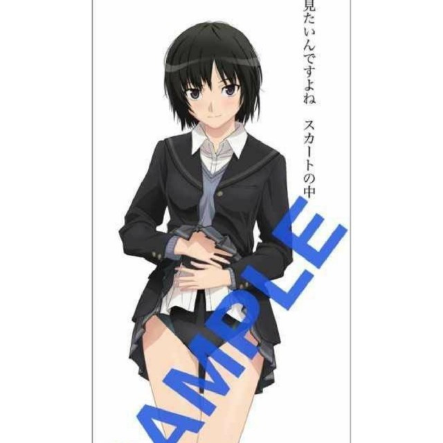 専用出品 特大スイート・シチュエーション布ポスター 七咲逢 アマガミ