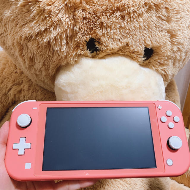 Nintendo Switch ライト Nintendo Switch Lite バラ売り可！ 任天堂