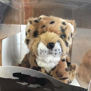 Jaguar（ぬいぐるみ）のフリマアイテム一覧