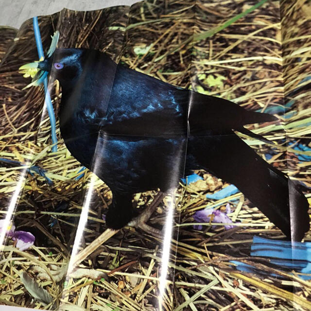 COMME des GARCONS - 90年代 コムデギャルソン ポスターの通販 by