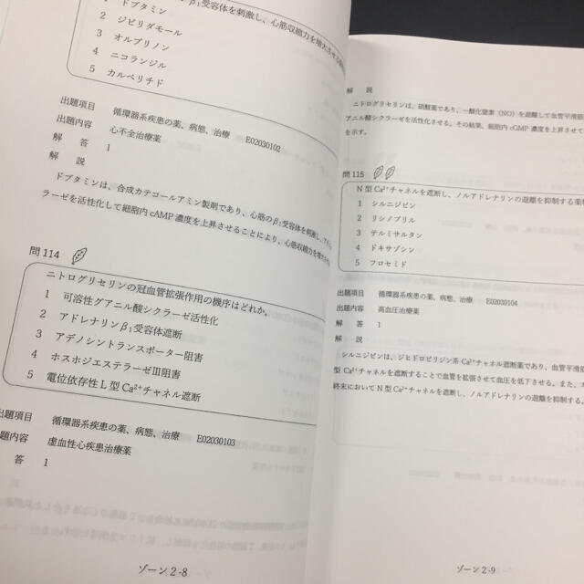 4年 薬学 薬剤師 CBT模試 解答解説 202011 第2回の通販 by candy's