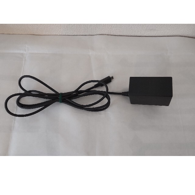 Nintendo Switch - Nintendo Switch Light 本体 ターコイズ 純正AC