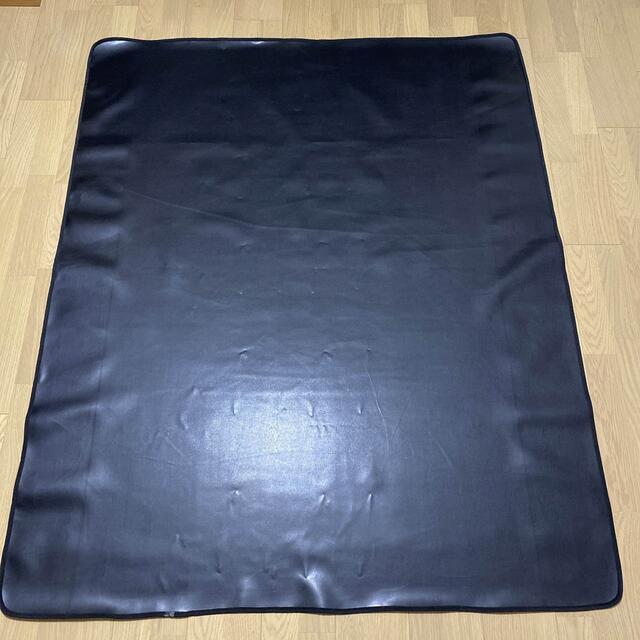 ワールドレップサービス 高濃度 ラジウムシート