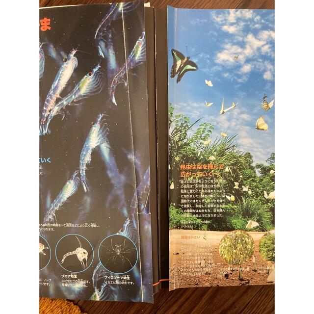 小学館 - ドラえもん 昆虫図鑑 DVDつきの通販 by まゆ's shop