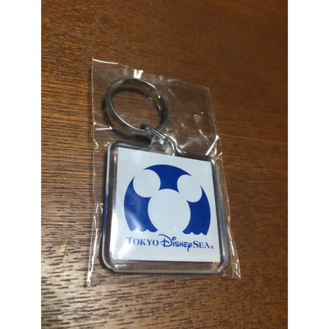 Disney - 東京ディズニーシー☆キャスト限定 メダル／ピンバッジの通販