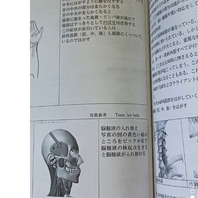 天城流湯治法更年期障害セミナーDVD 杉本錬堂 DVD 2枚 テキスト 紙1枚