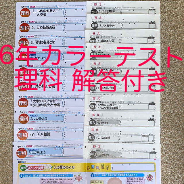 6年 カラーテスト 新学社 学校図書 理科 答え付きの通販 by hiro's