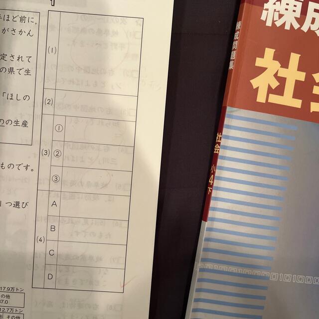 早稲田アカデミー 錬成問題集 小4 4冊セットの通販 by まっつん's shop