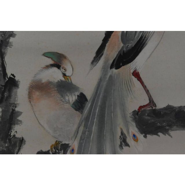 真作】植中直斎/梅花寿帯鳥図/掛軸☆宝船☆Z-916