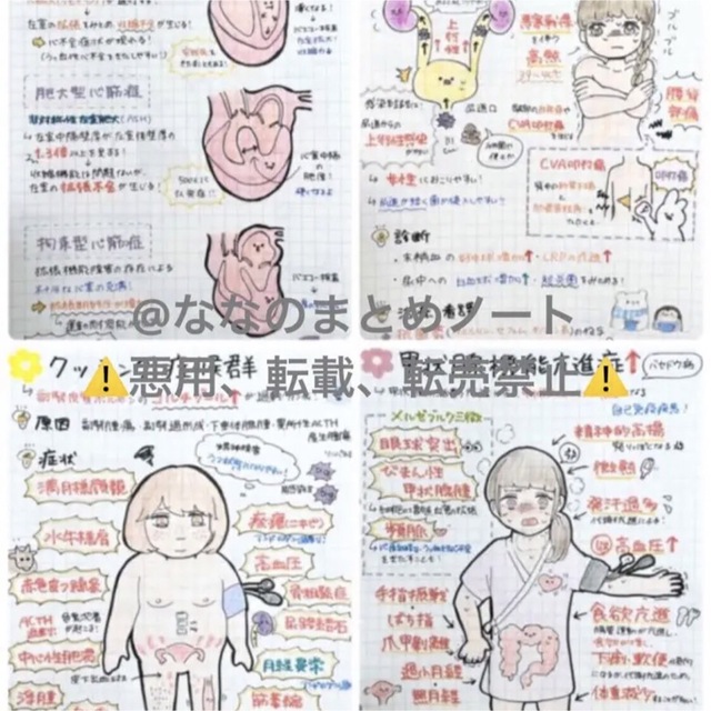 解剖生理+重要項目+頻出疾患まとめノート 3セットの通販 by 看護師応援